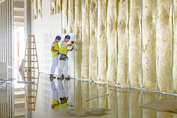 Best Specialized Insulation Services in Germantown, TN